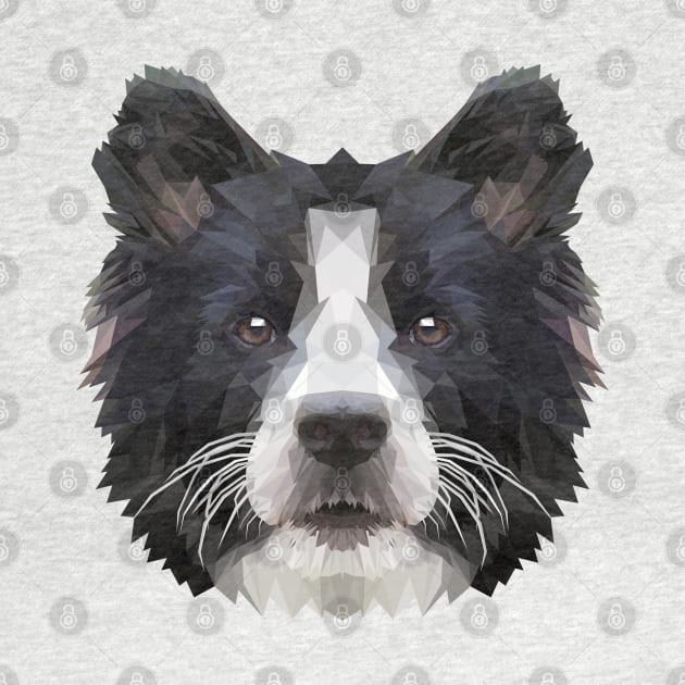 Border collie by Edwardmhz